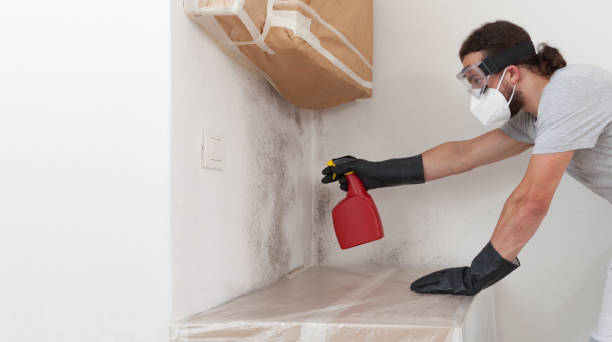 Professional Bathroom Mold Removal technician working in Point Harbor, NC